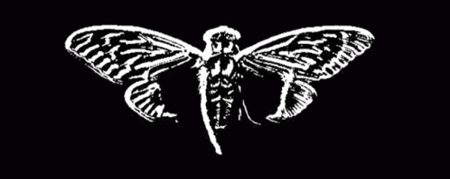 cicada3301-glitch1.gif